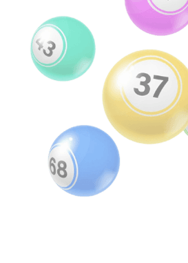 Bingo